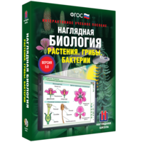 Наглядная биология. 6 класс. Растения. Грибы. Бактерии - fgospostavki.ru - Лесной