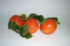 Ветка муляжей "Гранат" - fgospostavki.ru - Лесной