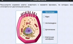 Интерактивные курсы. Биология 8 класс. Базовый - fgospostavki.ru - Лесной