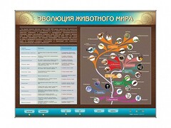 Интерактивный электрифицированный стенд "Эволюция животного мира" - fgospostavki.ru - Лесной