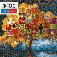 Начальная школа. Иностранный язык. (Цифровая база изображений) - fgospostavki.ru - Лесной