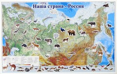 Магнитные карточки "Животные" - fgospostavki.ru - Лесной