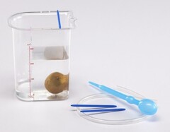 Сосуд Архимеда - fgospostavki.ru - Лесной