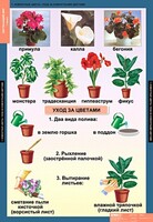 Комплект таблиц. Окружающий мир 1 класс. - fgospostavki.ru - Лесной