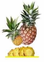 Комплект карточек "Запоминай, играй, считай" - Фрукты - fgospostavki.ru - Лесной