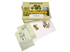 Гербарий "Для начальной школы" (30 видов, с иллюстрациями) - fgospostavki.ru - Лесной
