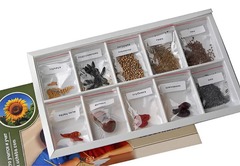 Коллекция "Плоды сельскохозяйственных растений" - fgospostavki.ru - Лесной