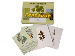 Гербарий "Деревья и кустарники" (22 вида, с иллюстрациями) - fgospostavki.ru - Лесной