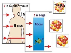 Модель-аппликация "Явление радиоактивности" (ламинированная) - fgospostavki.ru - Лесной