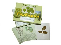 Гербарий "Дикорастущие растения" (30 видов, с иллюстрациями) - fgospostavki.ru - Лесной