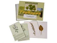 Гербарий "Лекарственные растения" (22 вида с иллюстрациями) - fgospostavki.ru - Лесной