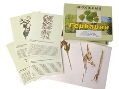 Гербарий "Систематика растений. Семейство Бобовые. Злаки" (раздаточный) - fgospostavki.ru - Лесной