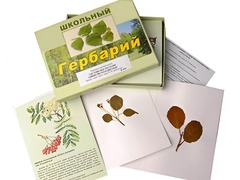 Гербарий "Систематика растений. Семейство Розоцветные" (раздаточный) - fgospostavki.ru - Лесной