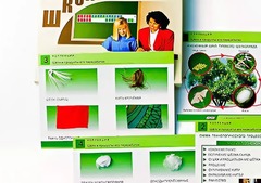 Коллекция "Шелк и продукты его переработки" (средняя школа) - fgospostavki.ru - Лесной