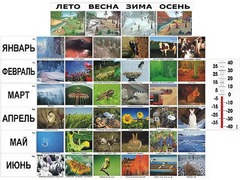 Фенологические наблюдения - fgospostavki.ru - Лесной