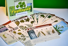 Гербарий к курсу основ общей биологии - fgospostavki.ru - Лесной