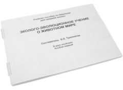 Пособие для слабовидящих - Эколого-эволюционное учение о животном мире - fgospostavki.ru - Лесной