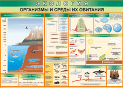 Таблица "Организмы и среды их обитания" (100х140 сантиметров, винил) - fgospostavki.ru - Лесной