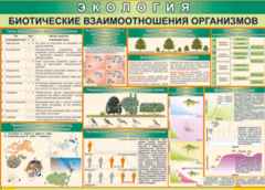 Таблица "Биотические взаимоотношения организмов" (100х140 сантиметров, винил) - fgospostavki.ru - Лесной