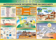 Таблица "Антропогенное воздействие на биосферу" (100х140 сантиметров, винил) - fgospostavki.ru - Лесной