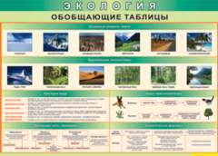 Таблица "Экология. Обобщающие таблицы" (100х140 сантиметров, винил) - fgospostavki.ru - Лесной