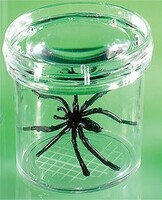 Баночка для изучения насекомых GeoSafari - fgospostavki.ru - Лесной