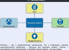 Интерактивные курсы. Биология 5 класс. Базовый - fgospostavki.ru - Лесной