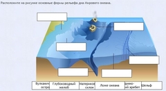 Интерактивные курсы. География 7 класс . Базовый. - fgospostavki.ru - Лесной