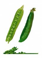 Комплект карточек "Запоминай, играй, считай" -  Овощи - fgospostavki.ru - Лесной