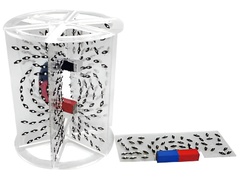 Модель для демонстрации в объеме линий магнитного поля - fgospostavki.ru - Лесной