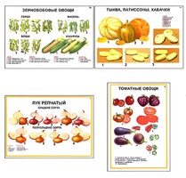 Плакаты ПРОФТЕХ "Ассортимент овощных культур" (12 пл, винил, 70х100) - fgospostavki.ru - Лесной