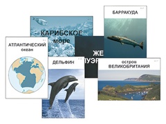 Модель-аппликация "Океаны. Знакомство" (ламинированная) - fgospostavki.ru - Лесной