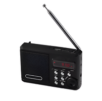 Радиоприемник цифровой с крупными кнопками - fgospostavki.ru - Лесной