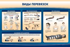 Стенд "Виды перевязок" - fgospostavki.ru - Лесной