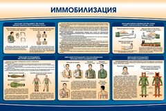 Стенд "Иммобилизация" - fgospostavki.ru - Лесной
