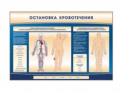 Электрифицированный стенд-тренажер "Остановка кровотечения" - fgospostavki.ru - Лесной