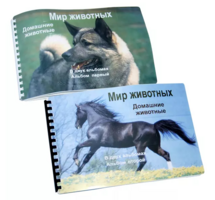 Пособие для слабовидящих - Домашние животные - fgospostavki.ru - Лесной