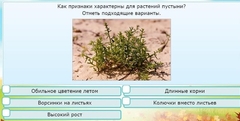 Интерактивные курсы. Окружающий мир 3 класс . Базовый. - fgospostavki.ru - Лесной