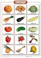 Таблицы "Окружающий мир" (формат А2, ламинированные, 10 таблиц) - fgospostavki.ru - Лесной