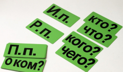 Набор магнитных карточек "Падежи" (фон зелёный) - fgospostavki.ru - Лесной