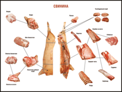 Таблица "Правила разделки мясных туш. Свинина" (100х140 сантиметров. винил) - fgospostavki.ru - Лесной