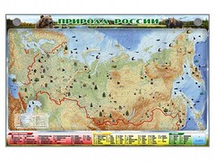 Электронно-информационный (маркерный) стенд "Природа России" - fgospostavki.ru - Лесной