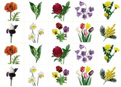 Комплект карточек "Запоминай, играй, считай" - Цветы - fgospostavki.ru - Лесной