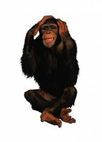 Комплект карточек "Запоминай, играй, считай" - Дикие животные - fgospostavki.ru - Лесной