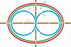 Стенд "Тренажер для глаз" - fgospostavki.ru - Лесной