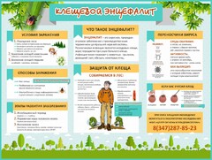 Стенд "Клещевой энцефалит" - fgospostavki.ru - Лесной