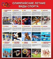 Стенд "Олимпийские летние виды спорта" - fgospostavki.ru - Лесной