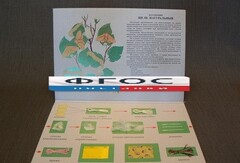 Коллекция "Шелк для начальной школы" - fgospostavki.ru - Лесной