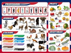 Стенд "Цвета, животные, профессии, фрукты, овощи" - fgospostavki.ru - Лесной