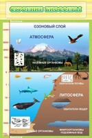 Стенд "Строение биосферы" - fgospostavki.ru - Лесной